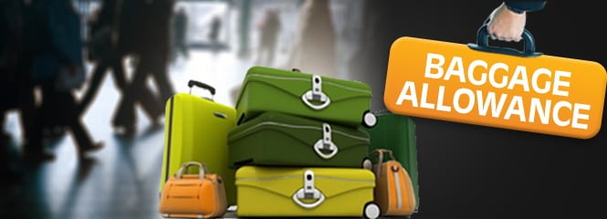 Indigo Airlines Baggage Information For All Flights