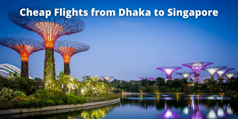 Dhaka to Singapore flight